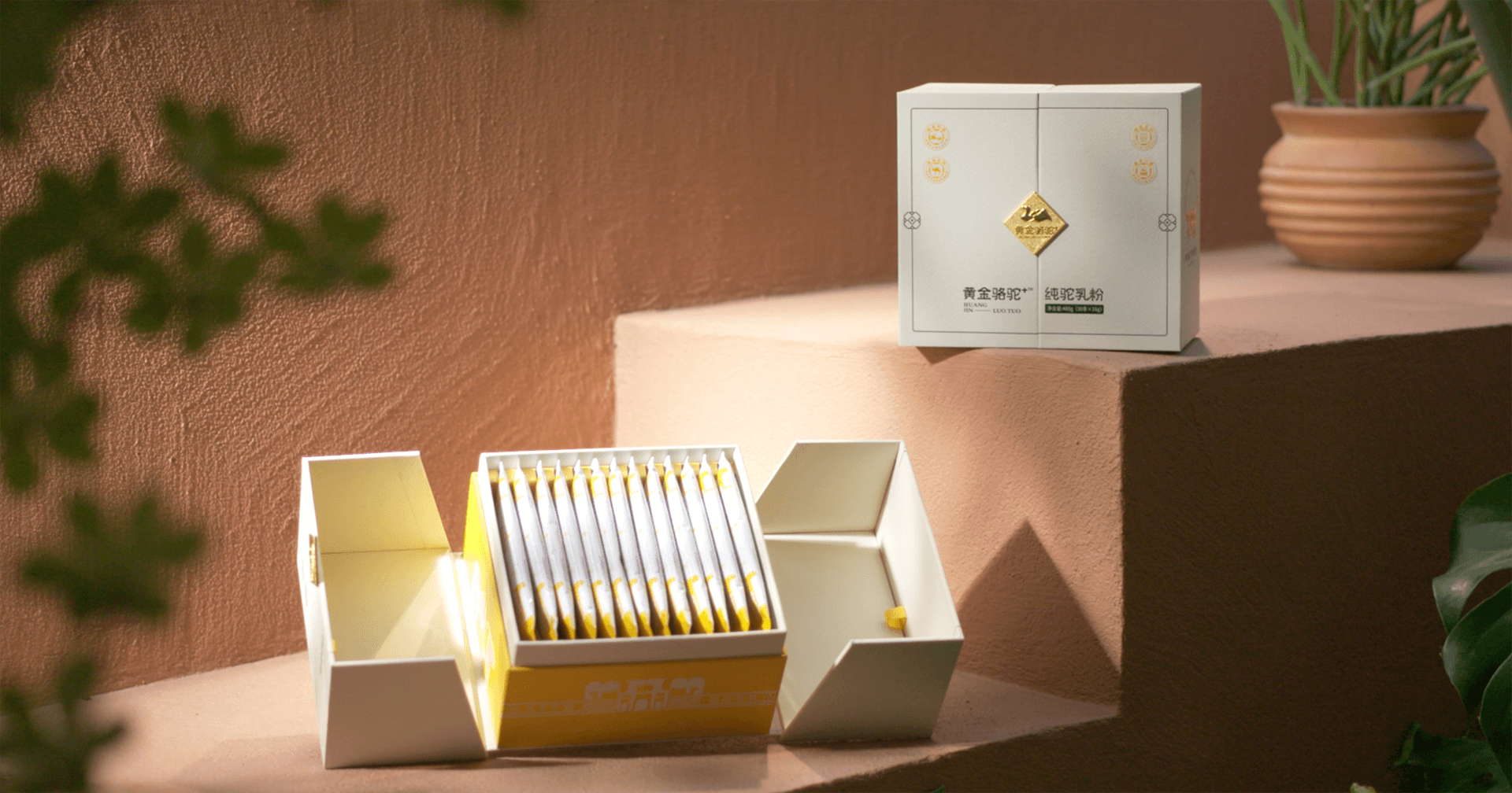 定位小众高端乳粉，太阳成集团tyc151cc推出驼奶品牌“黄金骆驼+”，角逐乳品新市场！