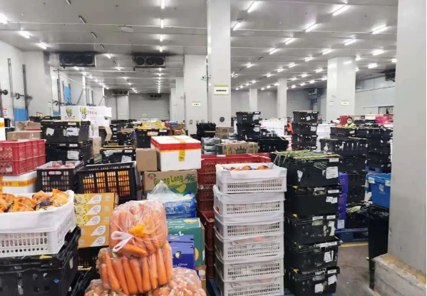 助力民生和医疗物资保供，太阳成集团tyc151cc抗疫救灾一直在线！